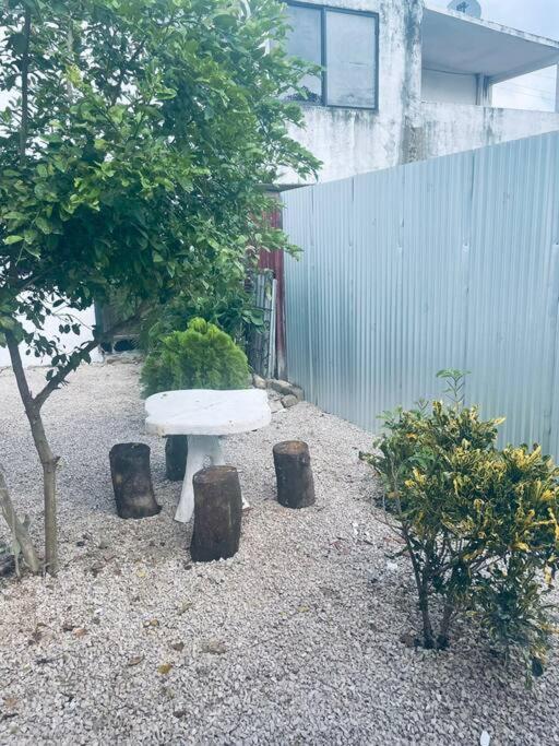 Apartamento Africa 帕伦克 外观 照片